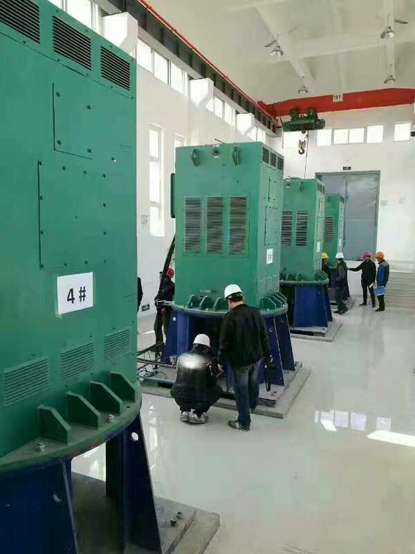 麻江某污水处理厂使用我厂的立式高压电机安装现场